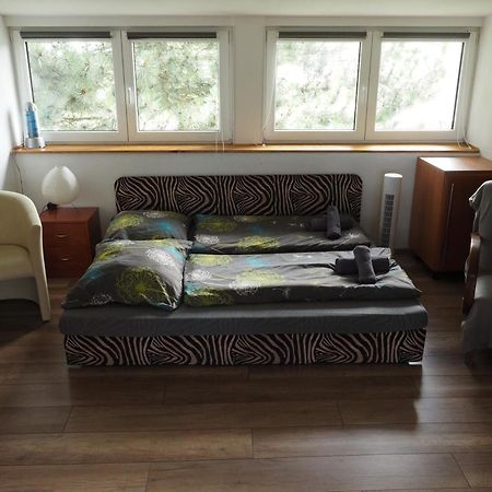 Apartman U Borovice Bila Tremesna Exterior photo