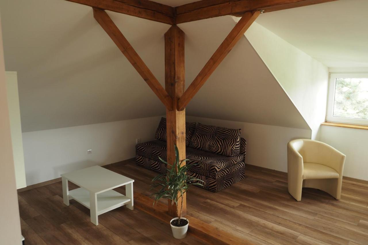 Apartman U Borovice Bila Tremesna Exterior photo